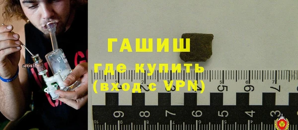 индика Порхов