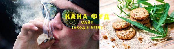 индика Михайловск