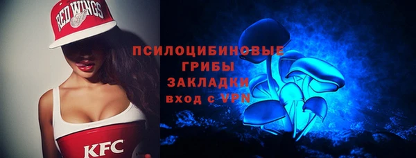 ECSTASY Почеп