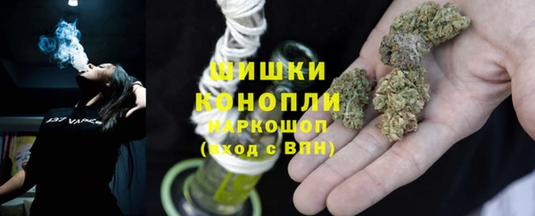 МДПВ Михайлов