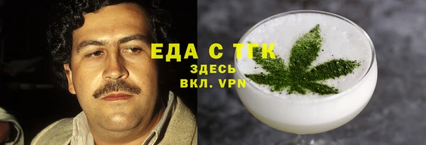 индика Порхов