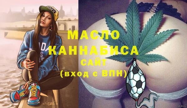 индика Порхов
