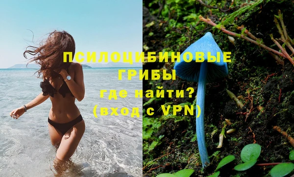 a pvp Снежногорск