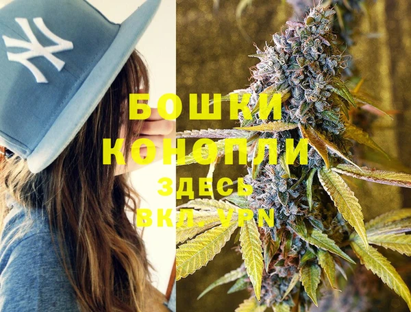 индика Порхов