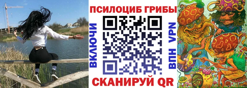 как найти   Нижнекамск  OMG tor  Псилоцибиновые грибы мухоморы 