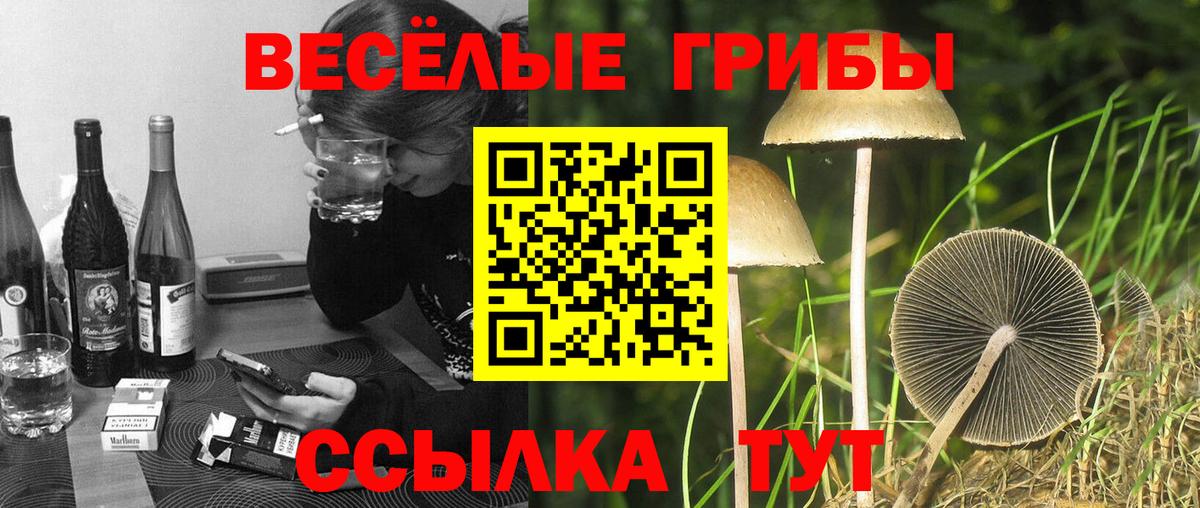 Галлюциногенные грибы мицелий  Вход с VPN  Нижнекамск 